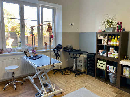 Úprava mazlíčka — Psí salon Lola Jičín
